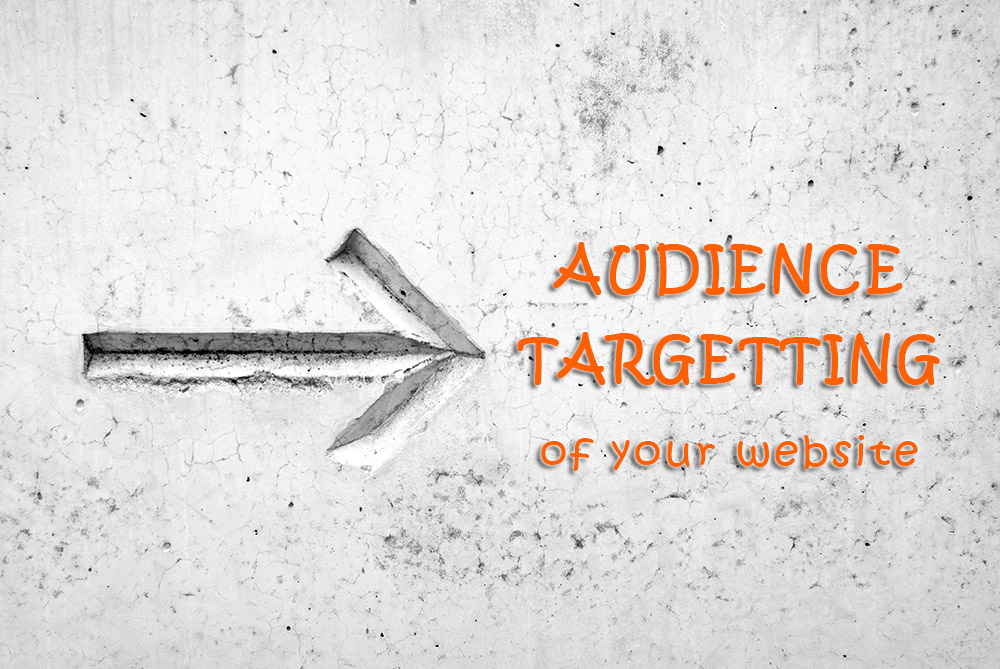 target audience of your real estate website